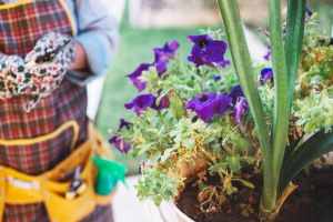 Choosing the Best Mulch Delivery Choosing the Best Mulch Delivery